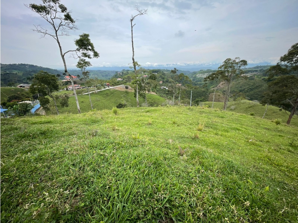 VENDO FINCA GANADERA EN ARABIA, CERCA DE PEREIRA — foto 5