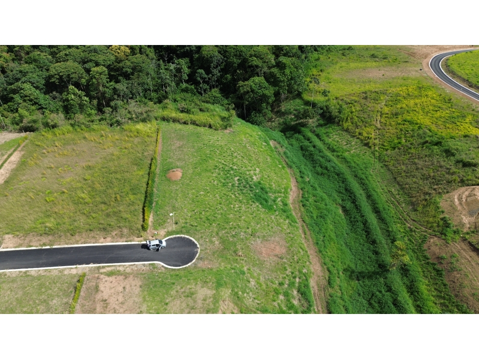 VENTA DE LOTE CAMPESTRE EN CERRITOS, PEREIRA, COLOMBIA — foto 2