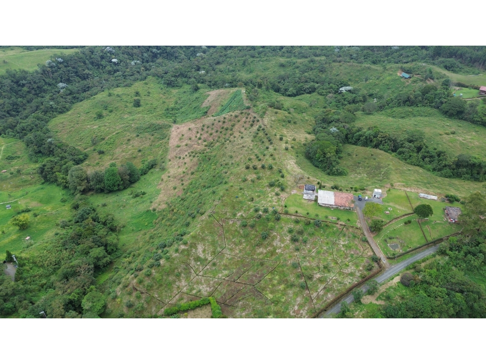 VENDO FINCA EN EL MANZANO VIA ARMENIA PEREIRA 34 CUADRAS — foto 4