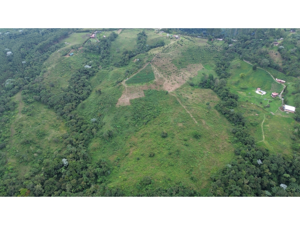 VENDO FINCA EN EL MANZANO VIA ARMENIA PEREIRA 34 CUADRAS
