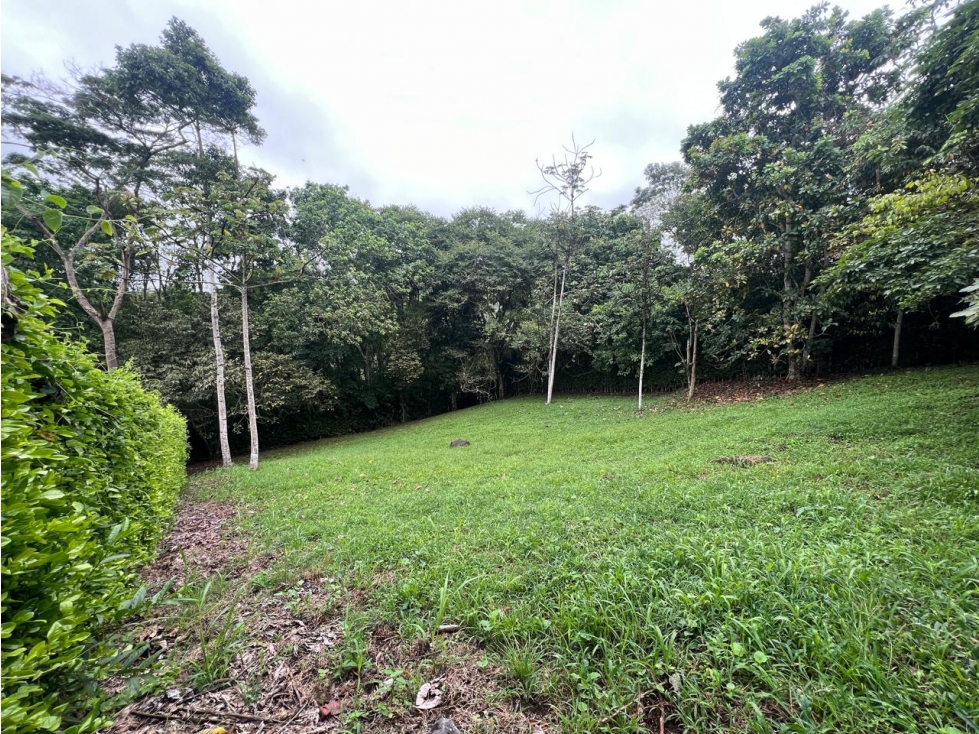 VENDO LOTE CAMPESTRE EN CERRITOS PEREIRA SEMI ONDULADO — foto 6