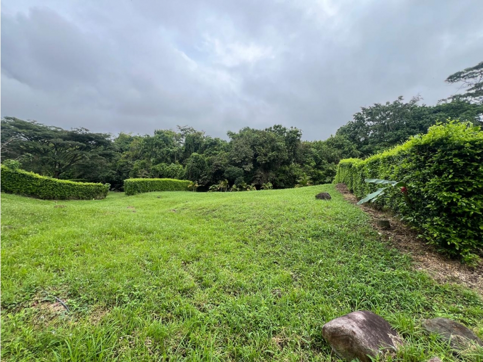 VENDO LOTE CAMPESTRE EN CERRITOS PEREIRA TOPOLOGIA ONDULADA — foto 4