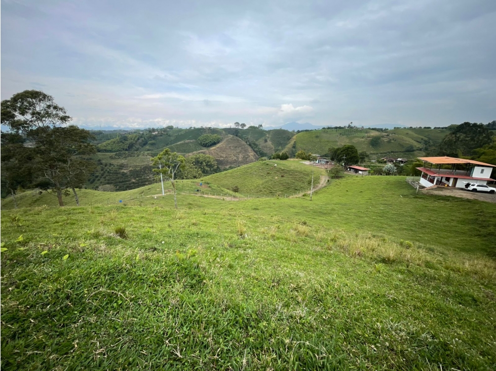 VENDO FINCA GANADERA EN ARABIA, CERCA DE PEREIRA — foto 6