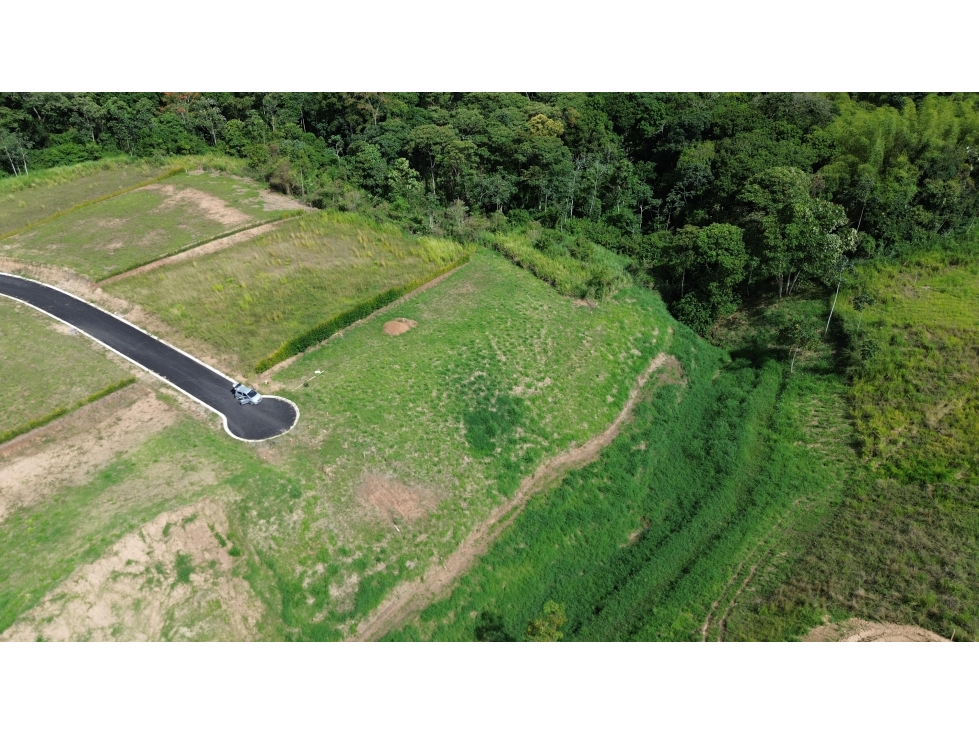 VENTA DE LOTE CAMPESTRE EN CERRITOS, PEREIRA, COLOMBIA — foto 3