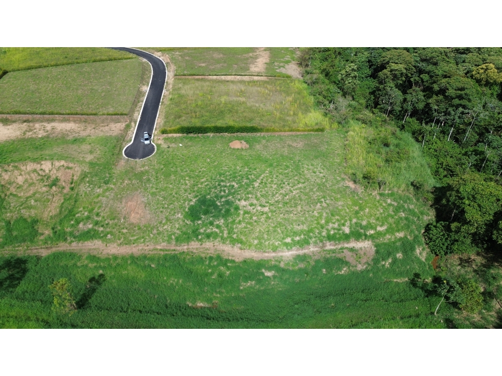 VENTA DE LOTE CAMPESTRE EN CERRITOS, PEREIRA, COLOMBIA — foto 4