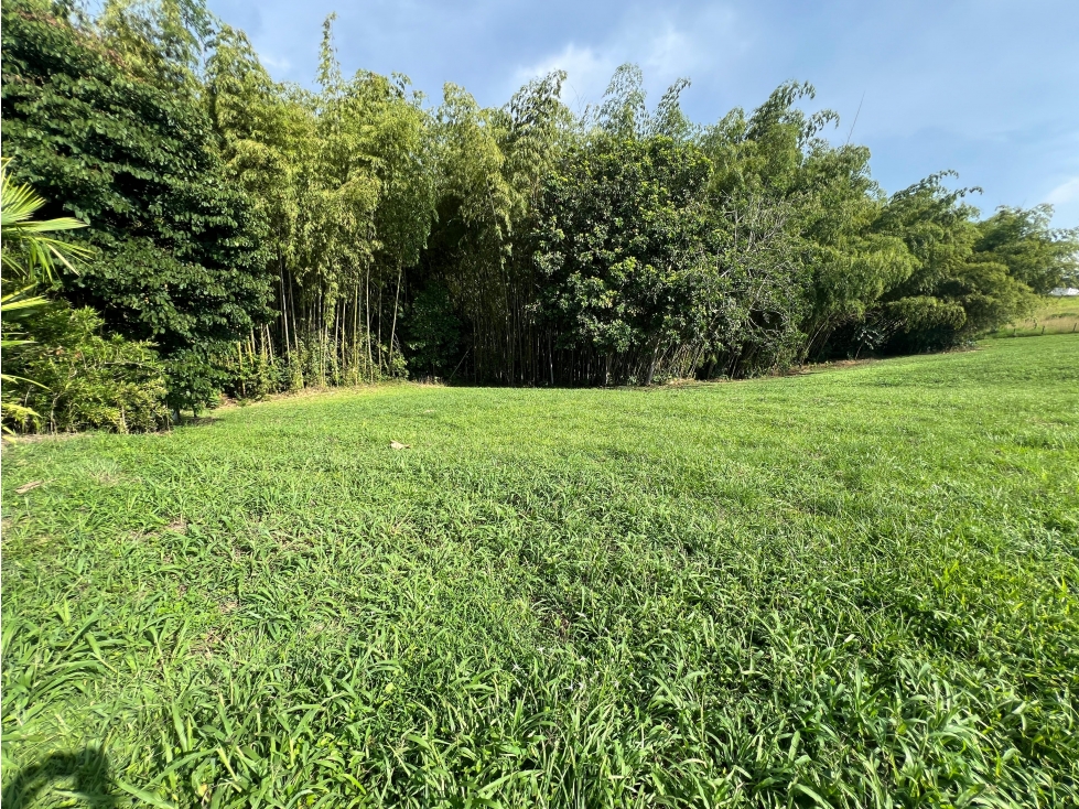 VENDO LOTE CAMPESTRE EN EL CONDOMINIO MALABAR EN CERRITOS, PEREIRA. — foto 5