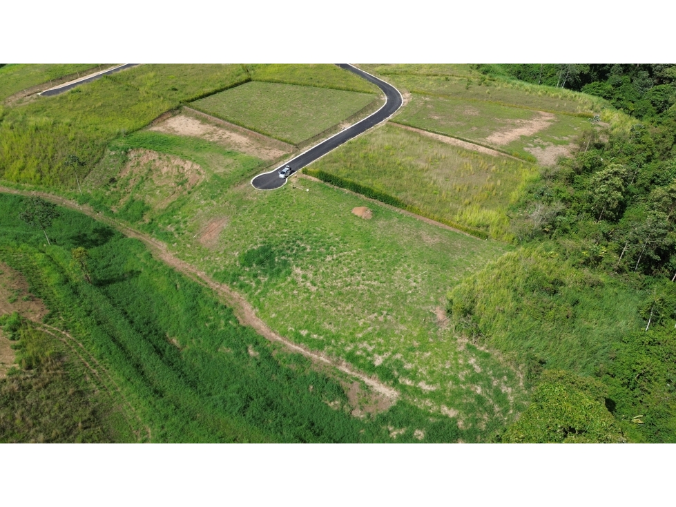VENTA DE LOTE CAMPESTRE EN CERRITOS, PEREIRA, COLOMBIA — foto 5