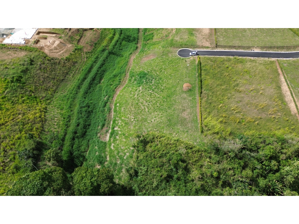 VENTA DE LOTE CAMPESTRE EN CERRITOS, PEREIRA, COLOMBIA — foto 6