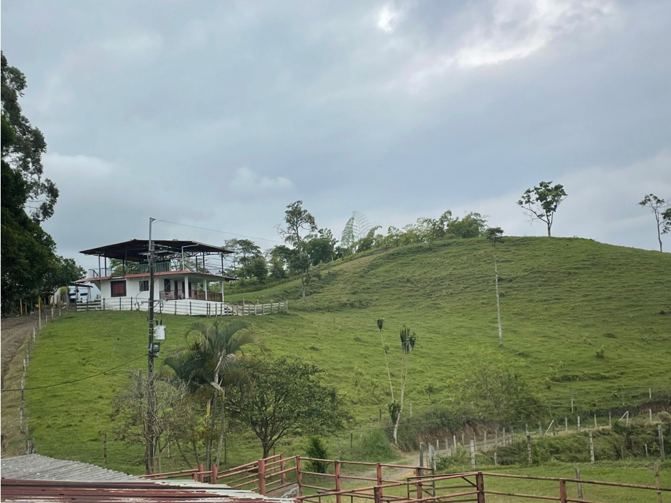 VENDO FINCA GANADERA EN ARABIA, CERCA DE PEREIRA — foto 2
