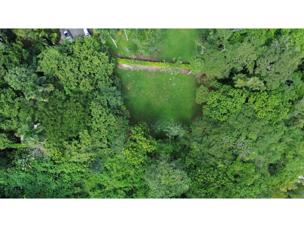 VENDO LOTE CAMPESTRE EN CERRITOS PEREIRA SEMI ONDULADO — foto 3