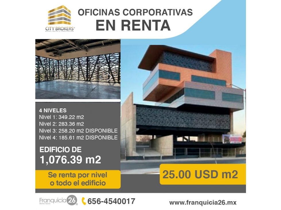 OFICINAS CORPORATIVAS EN RENTA EXCELENTE UBICACION - 1