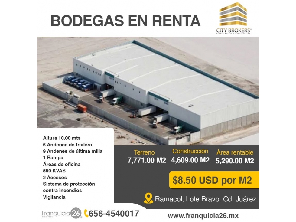 BODEGAS EN MIGUEL DE LA MADRID EN RENTA