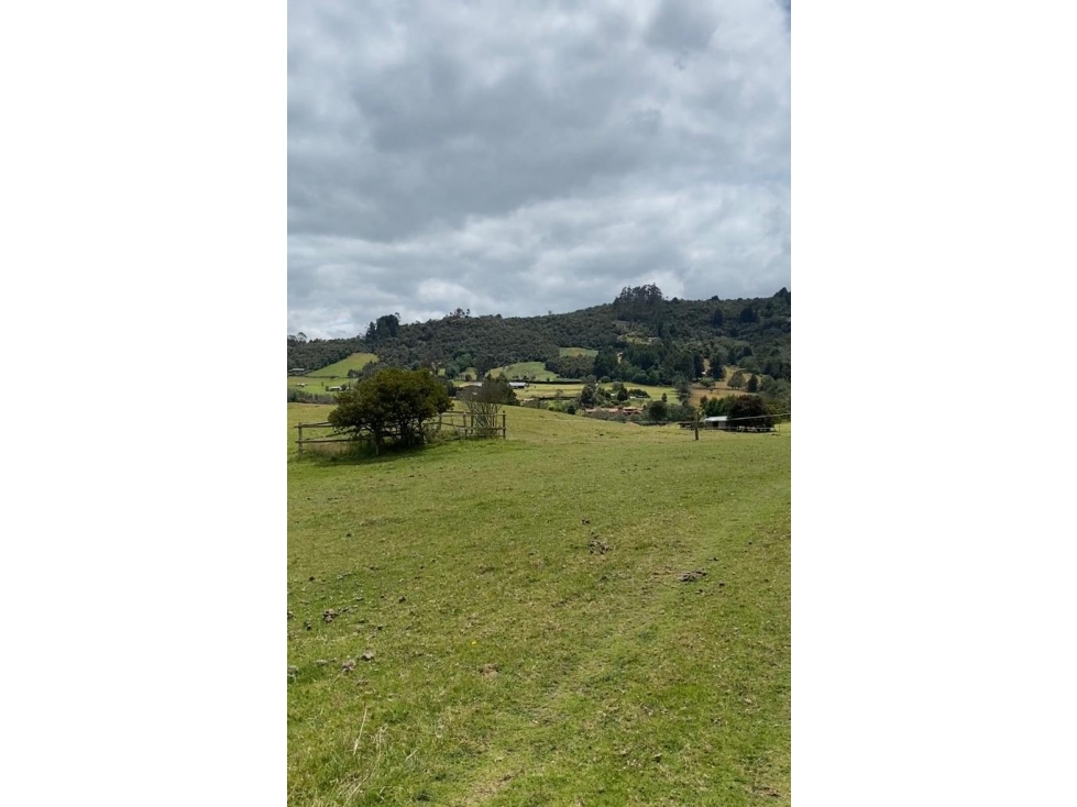 Lote en Venta en Yerbabuena 21.333 m2 — foto 4