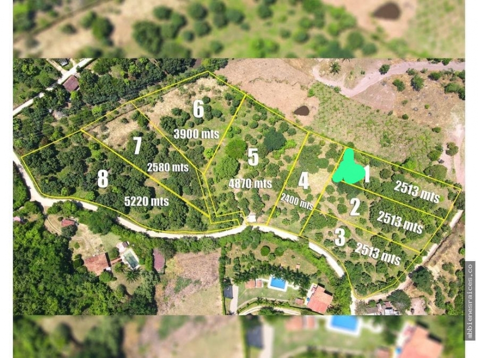LOTE PARA LA VENTA EN ANAPOIMA, CUNDINAMARCA - 2
