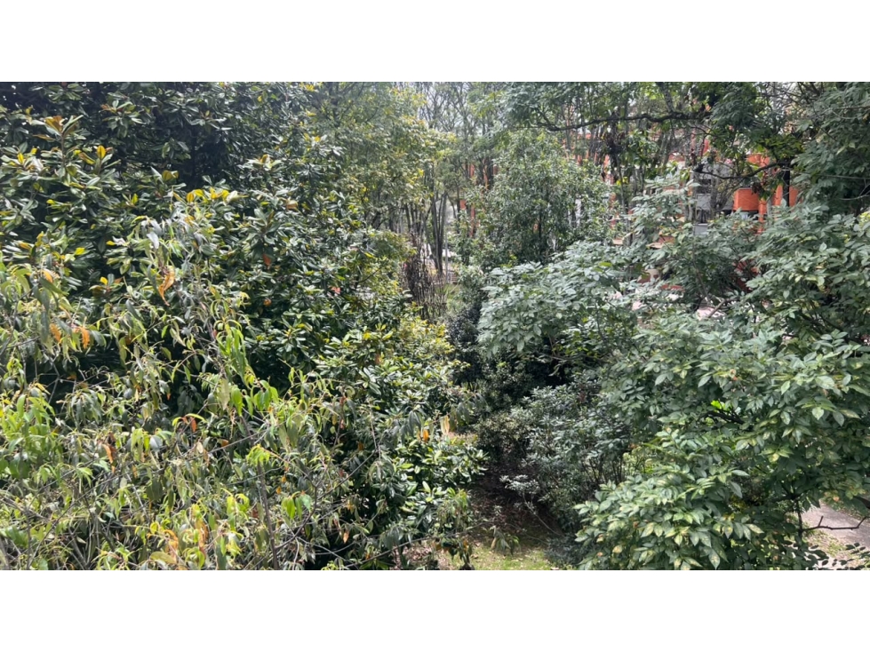 APARTAMENTO EN VENTA, BELALCAZAR, BOGOTA — foto 3