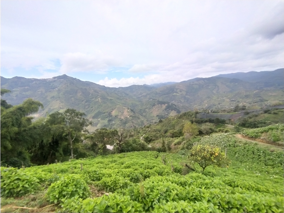 LOTE EN VENTA LA CEJA - SAN JOSÉ - 5