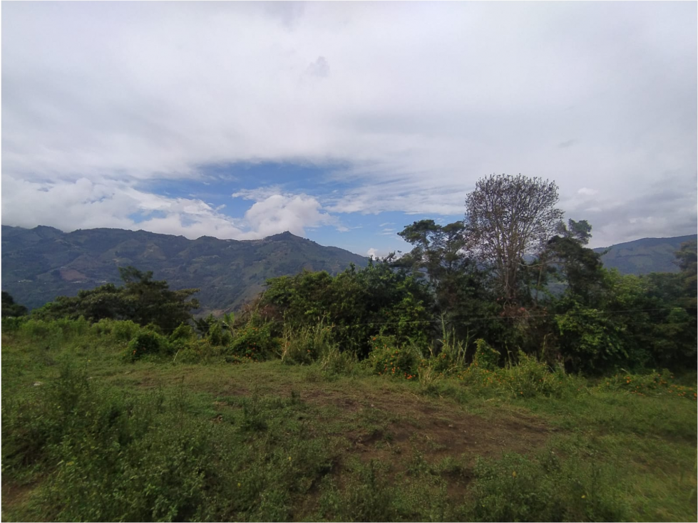 LOTE EN VENTA LA CEJA - SAN JOSÉ - 1
