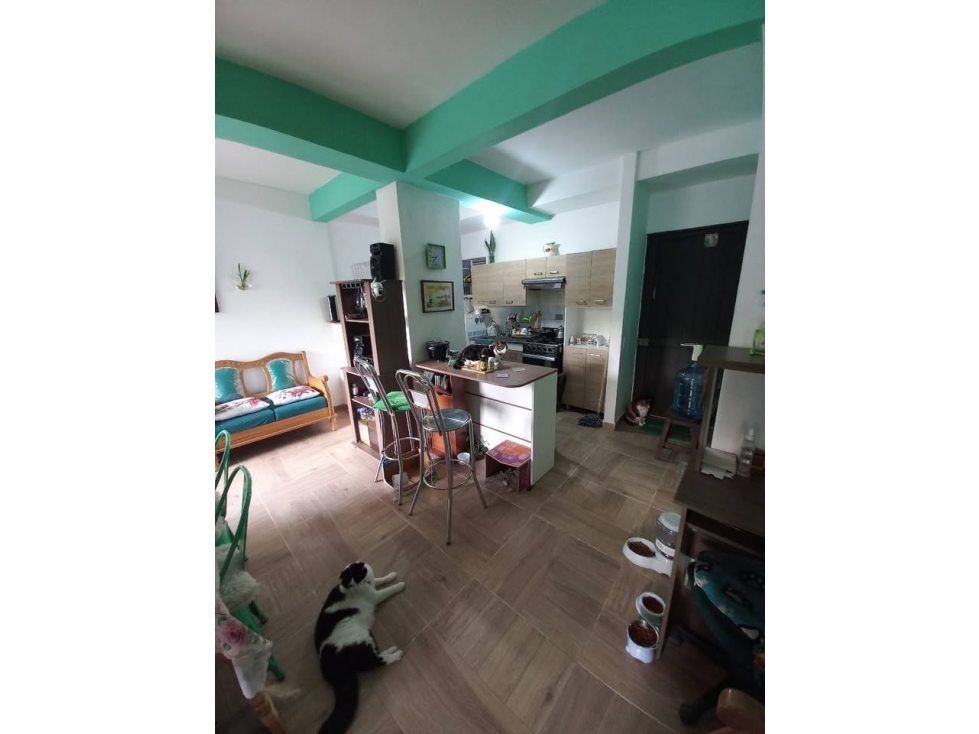 APARTAMENTO EN VENTA BELLO - MADERA NATIVA — foto 2
