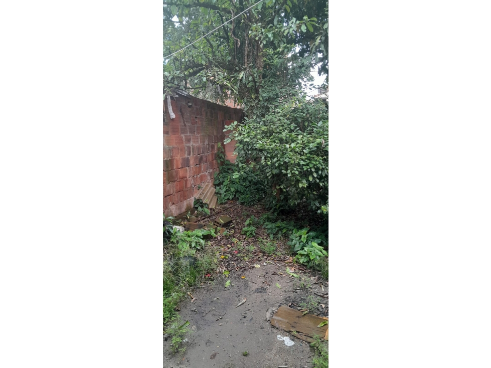 BELLO - CONGOLO - SE VENDE CASA LOTE — foto 3