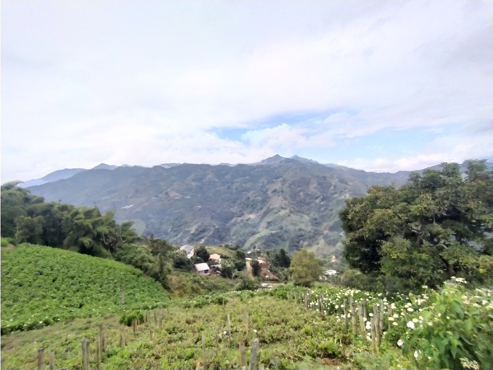 LOTE EN VENTA LA CEJA - SAN JOSÉ - 6