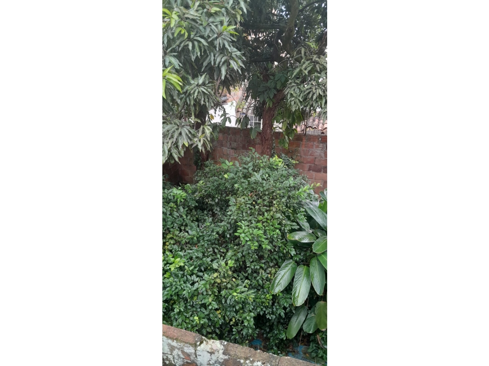 BELLO - CONGOLO - SE VENDE CASA LOTE — foto 6