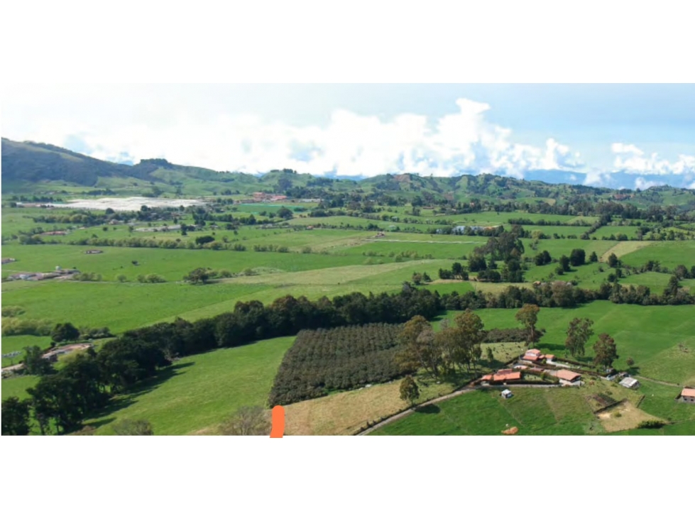 Se Vende Lote Espectacular Parcelacion - San Pedro De Los Milagros — foto 6