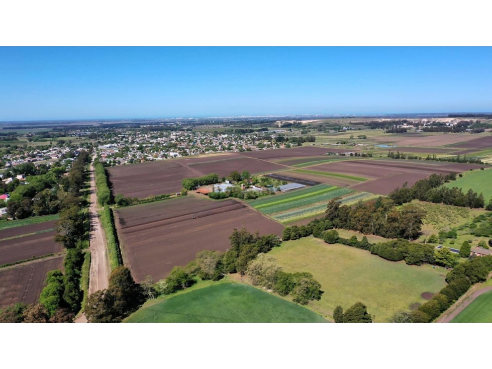 Venta de campo Ruta 88 kilometro 14,5 — foto 3