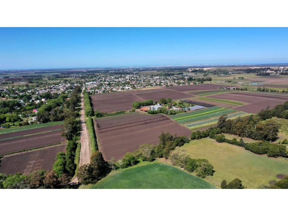 Venta de campo Ruta 88 kilometro 14,5 — foto 5