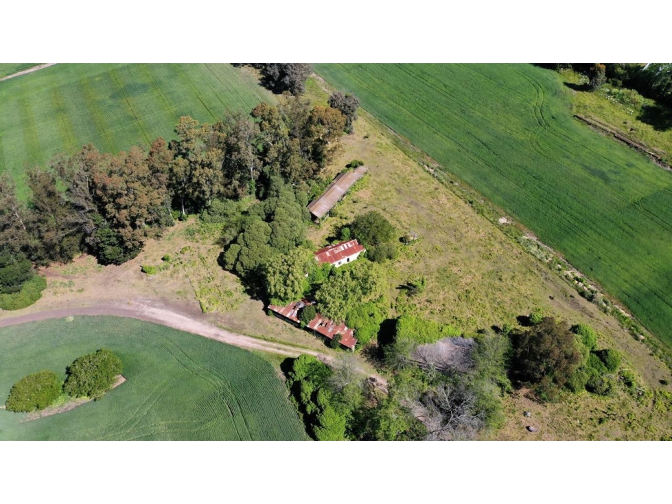 Venta de campo Ruta 88 kilometro 14,5 — foto 6