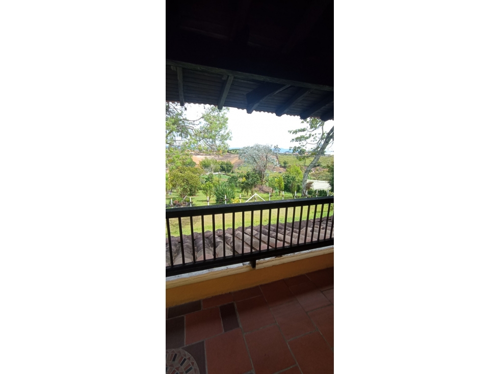 SE VENDE FINCA EN EL CARMEN DE VIBORAL - 5