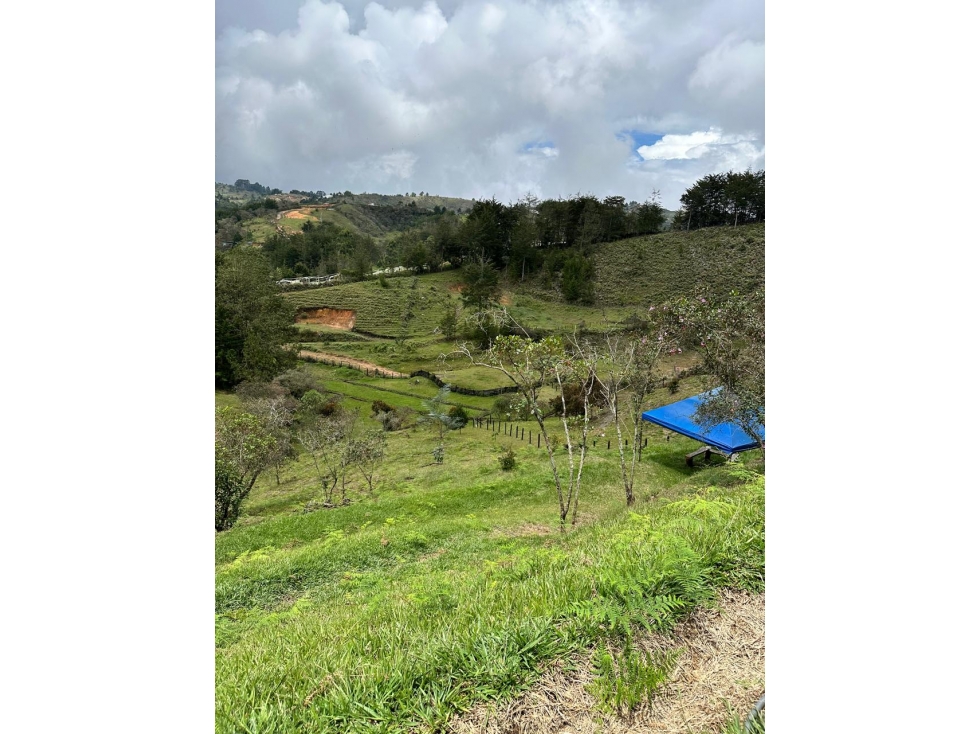 SE VENDE LOTE EN GUARNE, VEREDA LA ENEA — foto 2