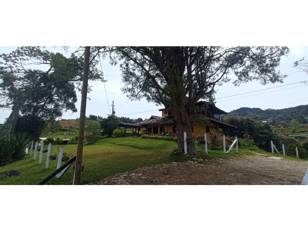 SE VENDE FINCA EN EL CARMEN DE VIBORAL - 4