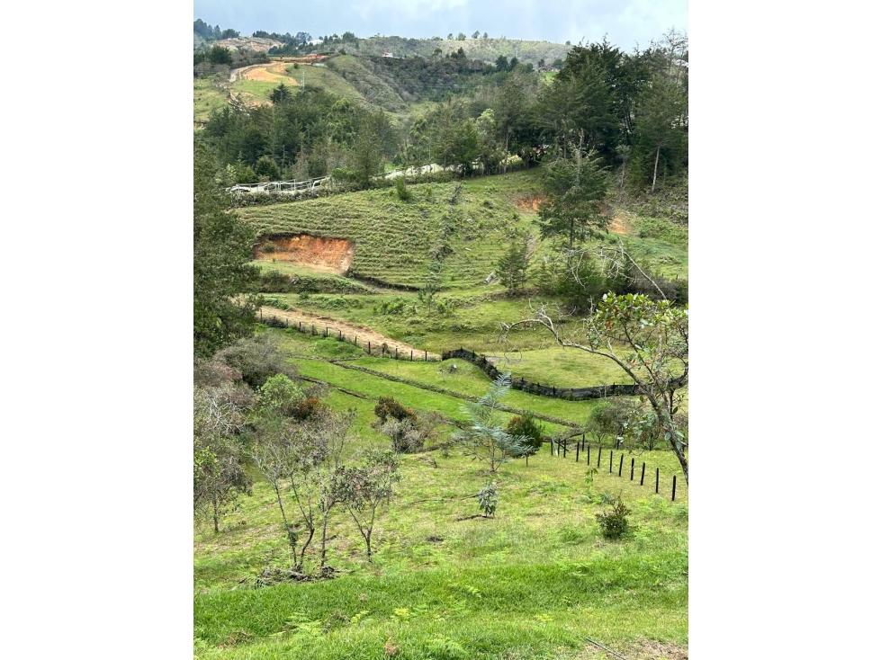 SE VENDE LOTE EN GUARNE, VEREDA LA ENEA