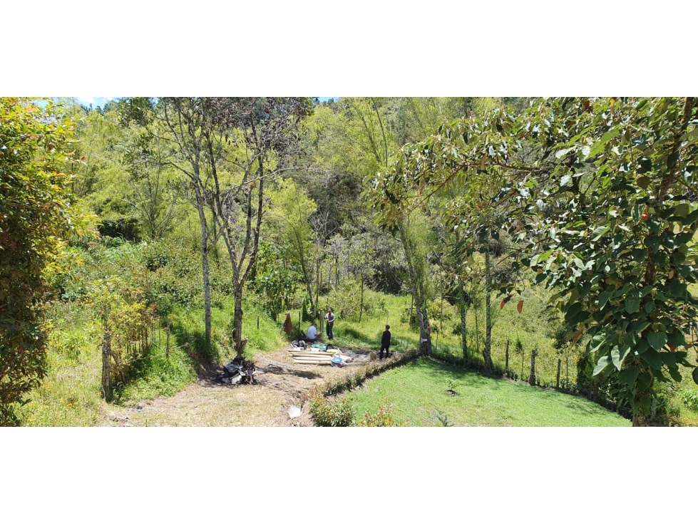 SE VENDE LOTE ENTRE MARINILLA Y GUATAPE — foto 3