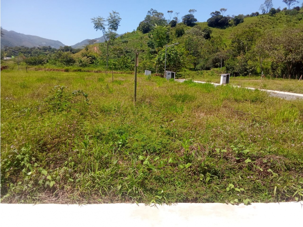 SE VENDE LOTE #40 CONDOMINIO CAÑADULCE, PORCE — foto 2