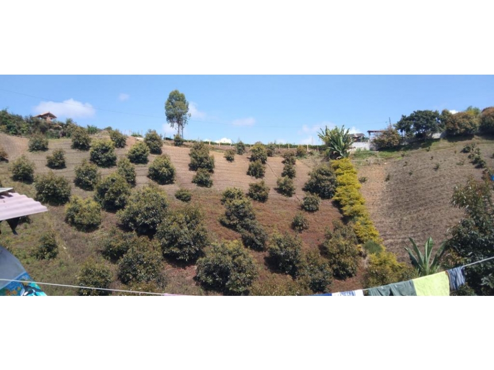 Lote en Venta en Marinilla - 3