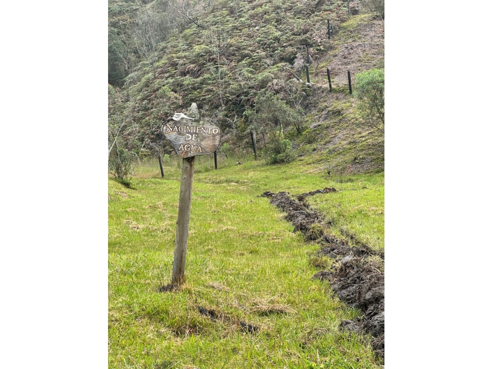 SE VENDE LOTE EN GUARNE, VEREDA LA ENEA — foto 3