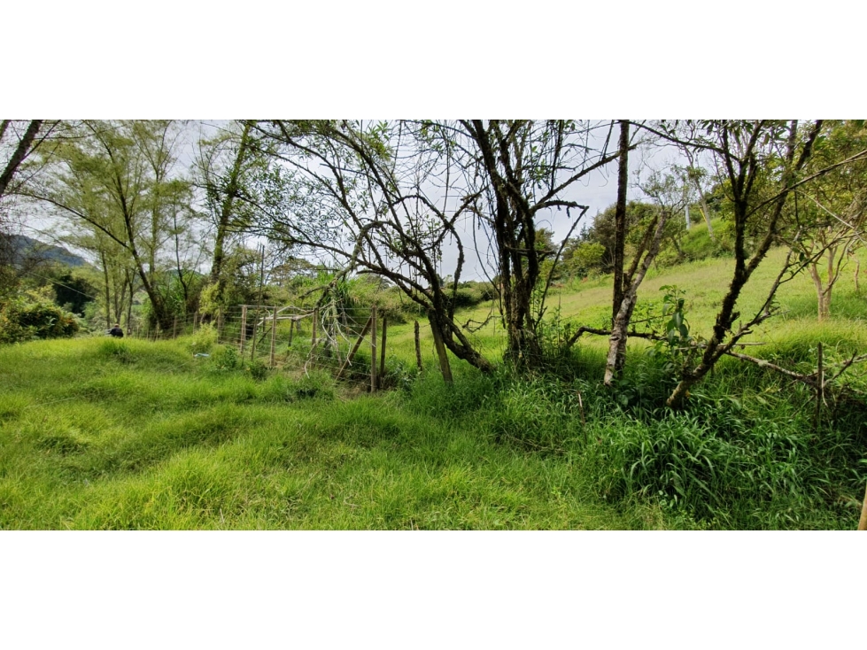 SE VENDE LOTE ENTRE MARINILLA Y GUATAPE — foto 4