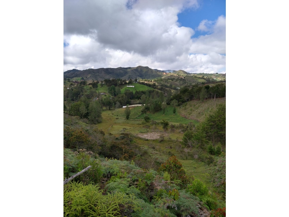 SE VENDE LOTE EN GUARNE, VEREDA LA ENEA — foto 4