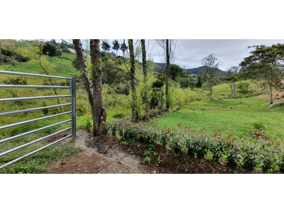 SE VENDE LOTE ENTRE MARINILLA Y GUATAPE — foto 5
