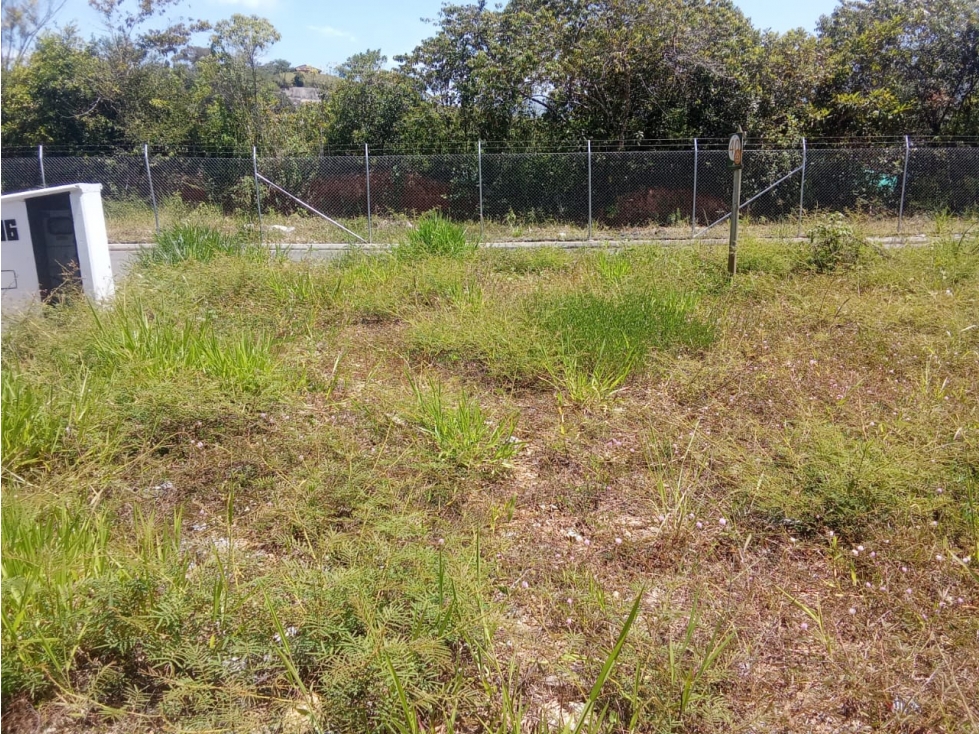 SE VENDE LOTE #40 CONDOMINIO CAÑADULCE, PORCE — foto 4