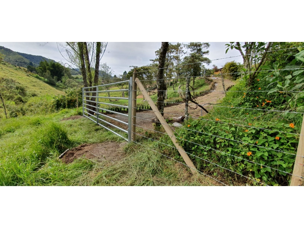 SE VENDE LOTE ENTRE MARINILLA Y GUATAPE — foto 6