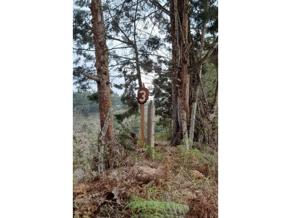 SE VENDE LOTE EN GUARNE, VEREDA LA ENEA — foto 6