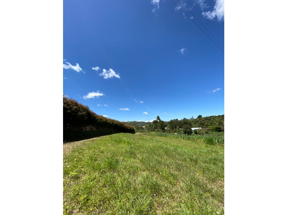 SE VENDE LOTE EN LA VEREDA LA ENEA