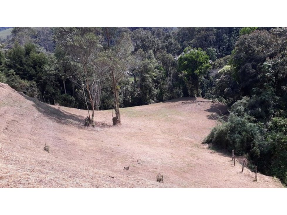 Venta lote en el Trebol,Manizales. Cod:1044239 — foto 5