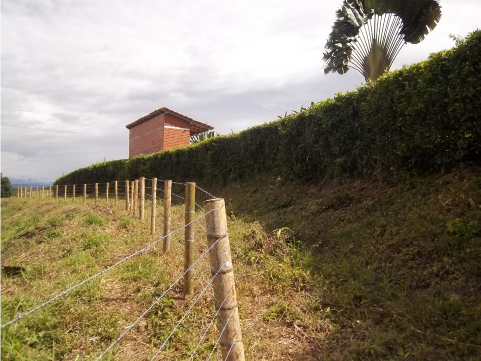Venta lote en las Margaritas,Caldas. Cod:1079329 - 6