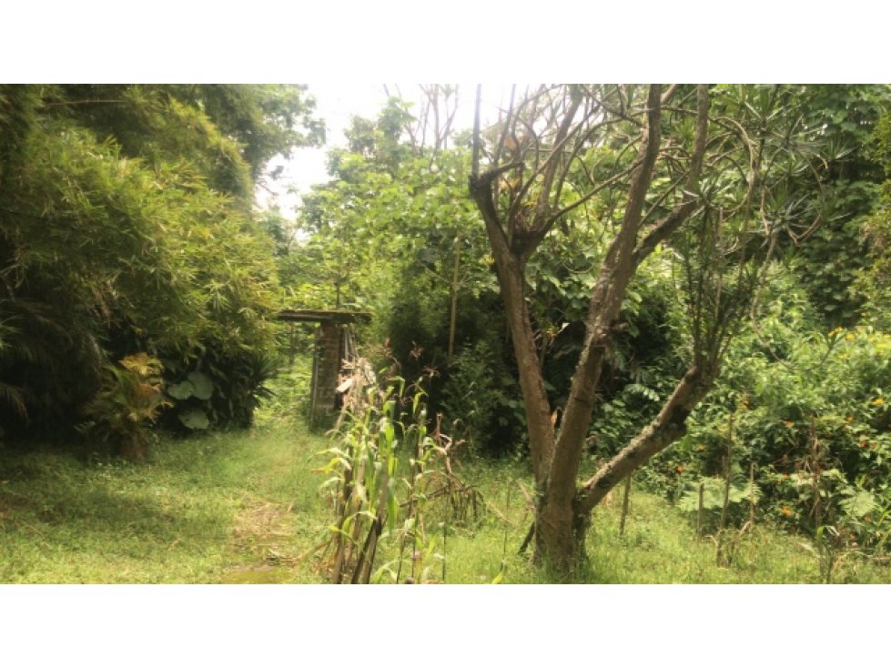Venta Casa Campestre , Manizales Cod 730679 — foto 6