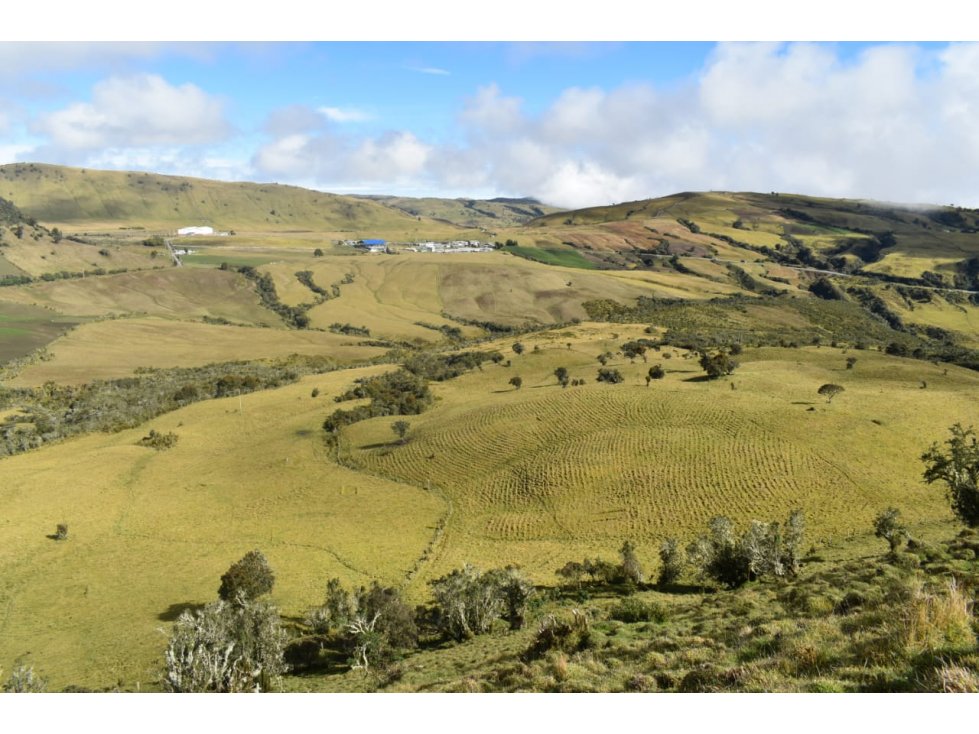 Venta Finca Paramo de Letras Manizales, Cod 4209791 — foto 2
