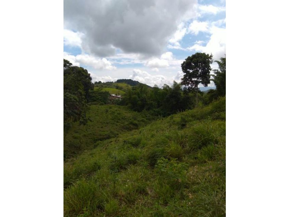 Venta lote, Arauca, Manizales Cod 731501 - 1