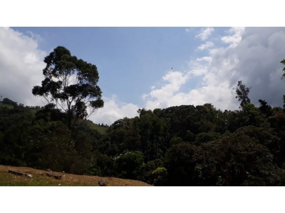 Venta lote en el Trebol,Manizales. Cod:1044239 — foto 6